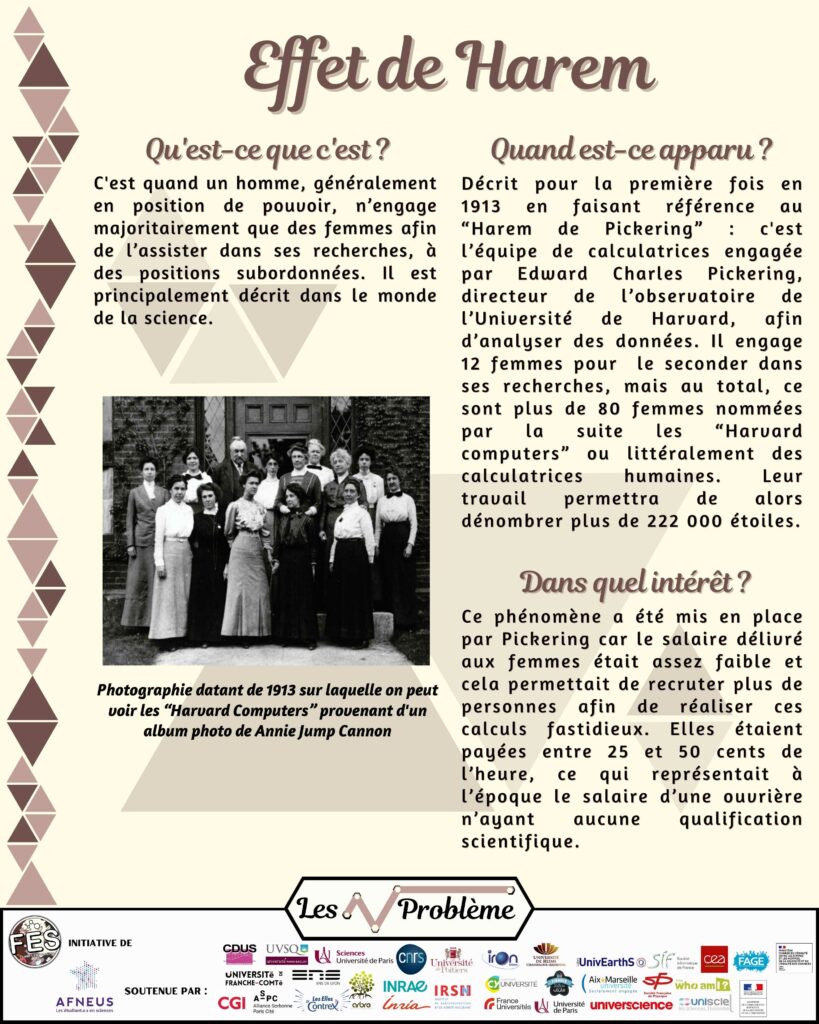 Extrait de l'exposition "FLes racines du problème" Extrait de l'exposition "FLes racines du problème"